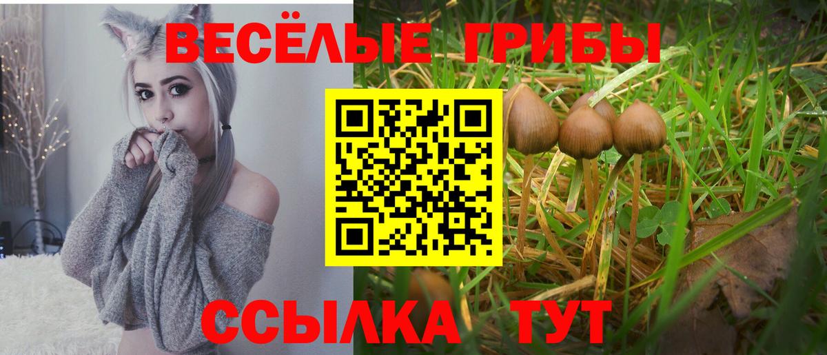 Псилоцибиновые грибы ЛСД  Псилоцибиновые грибы мицелий  Можга  Вход с VPN 