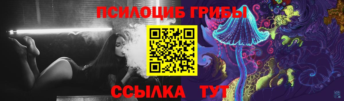 Галлюциногенные грибы Cubensis Можга